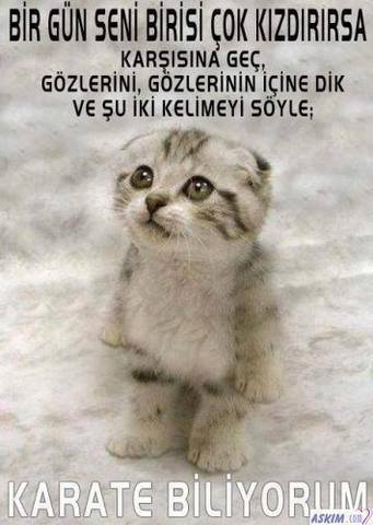 İLGİNÇ FOTOLAR