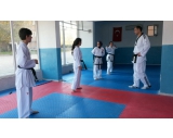 BURSA KİCKBOKS-TAEKWON DO ANTRENMANI