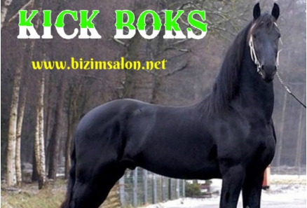 BURSA ÖZEL KICK BOKS DERSLERİ