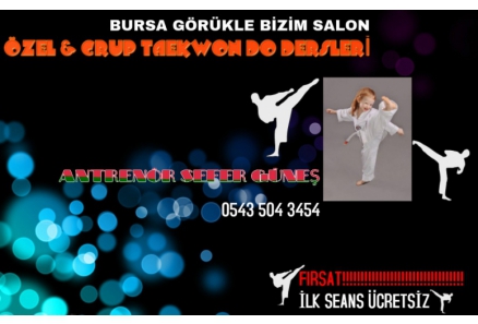 BURSA ÖZEL TAEKWON DO DERSLERİ