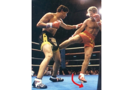 Middle Round House Kick