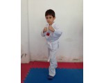 BURSA ÖZEL TAEKWON DO DERSLERİ