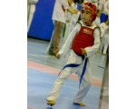 BURSA TAEKWON DO SALONLARI