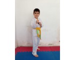 BURSA TAEKWON DO SALONLARI
