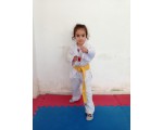 BURSA TAEKWON DO SALONLARI