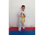 BURSA TAEKWON DO SALONLARI