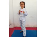 BURSA TAEKWON DO SALONLARI
